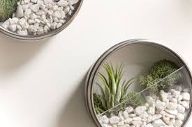 Ikea Grundtal Mini Garden Terrarium Diy Terrarium Ikea Hacks