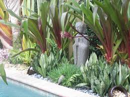Pin By Susy Ayala On South Florida Gardens Landscaping With Rocks Tropical Landscaping Florida Landscaping