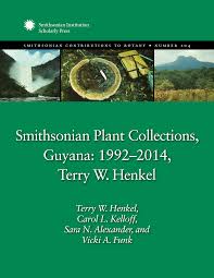 Image result for Eriochrysis pallida