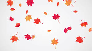 Maybe you would like to learn more about one of these? Falling Autumn Leaves Animation Looped Stock Footage Video 100 Royalty Free 1030012286 Shutterstock