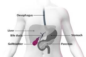 Most often it's in the upper right part of the belly. What Is Gallbladder Cancer Nhs