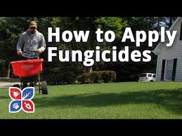 Bioadvanced Fungus Control For Lawns Temperature Do My Own Lawn Care How To Apply Fungicides Ep17 Youtube