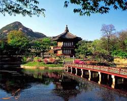 جزیره جیجو -  قیمت تور کره جنوبی