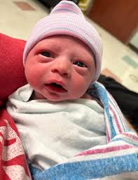 Scott Burson (@professorbengal) • Instagram photos and videos