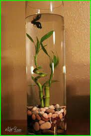 Lengkap dengan pompa air, lampu meja, dan tempat alat tulis. Get Jual Aquarium Ikan Cupang Png