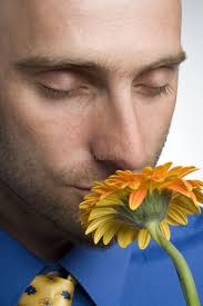 2,279 Pleasant Smell Flower Stock Photos
