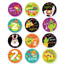 Thank you the edible print factory for the great, reliable, service you offer, with often such short notice. Fiesta Cupcake Toppers Or Bunting Mexican Llama Cactus Tacos Toppers Printable Digital File Boy Or Girl Fiesta Taco Party
