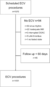 If afib returns again, chances are even lower for a third procedure to work. Efficacy And Safety Of Direct Oral Anticoagulants In Patients Undergoing Elective Electrical Cardioversion A Real World Patient Population International Journal Of Cardiology