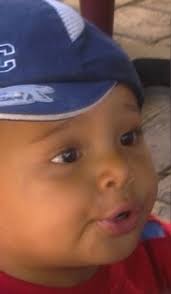 Pedigree chart Noah LOLLIA-PEHRSON