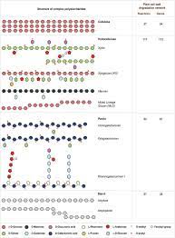 Plant cell walls are composed of three major polysaccharides: Network Reconstruction And Systems Analysis Of Plant Cell Wall Deconstruction By Neurospora Crassa Biorxiv