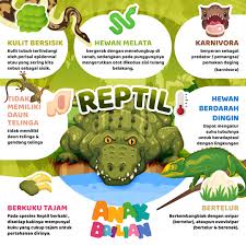 Maybe you would like to learn more about one of these? Mempelajari Ciri Ciri Makhluk Reptil Anak Brilian
