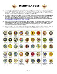 Boy Scout Merit Badges Give Scouts The Opportunity To Investigate Boy Scouts Merit Badges Scout Boy Scouts