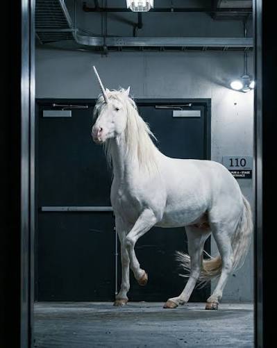 April 9th: The Cabin in the Woods (2012) Celebrate "National Unicorn Day"  with the unforgettable unicorn scene in this film.