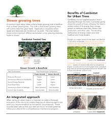 Tree Growth Regulators Arbor Doctor Llc