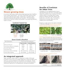 tree growth regulators arbor doctor llc