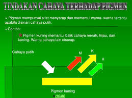 Jadi cahaya yang terbentuk selepas turas tu warna merah dengan biru jela. Cahaya Warna Dan Penglihatan Ppt Download