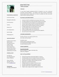 Reporting Requirements Template New New Report Template Word Free Www Pantry Magic Com In 2020 Business Letter Template Accountant Resume Business Plan Template