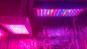 We did not find results for: 10 Best Led Grow Lights For Cannabis 2020 Complete Buyer S Guide Production Grower