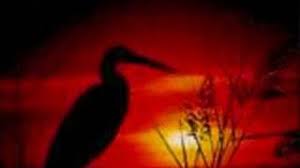 C f angela, they put you in prison c f angela, they shot down your man c f angela, you`re one of the millions. Chords For Angela By Jose Feliciano