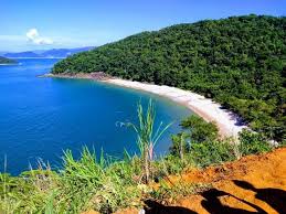 Palm beach county operations coronavirus. Condominio Palm Beach Apto Flat Martim De Sa 800mts Da Praia Temporada Martim De Sa Caraguatatuba 293147097 Olx