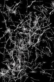Cracked screen prank for windows 10 wallpaper (16 of 49 pics) fake broken lcd screen for laptop background (15 of 49 pics) black broken screen for laptop wallpaper (14 of 49 pics) cracked glass picture for desktop background (13 of 49 pics) Broken Screen Wallpaper Net Line Pattern Space Fence 11231 Wallpaperuse