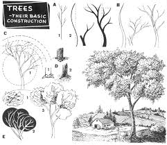How to draw leaves on a tree. How To Draw Trees Bark Twigs Leaves And Foliage Drawing Tutorial How To Draw Step By Step Drawing Tutorials Tree Drawing Realistic Drawings Drawings