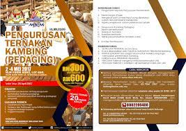 Masalah utama penternakan kambing yang menyebabkan kerugian seperti kembung. Institut Koperasi Malaysia On Twitter Peluang Peluang Peluang Hadiri Kursus Pengurusan Ternakan Kambing Pedaging Anjuran Mkm 2 4 Mei 2017
