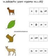 Image Result For Tamil Word To Readwith Pics For Ukg 1st Grade Worksheets 2nd Grade Worksheets Language Worksheets