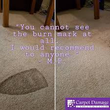 Make sure to trim only the absolutely. How To Fix Burnt Carpet From Hair Dryer Arxiusarquitectura
