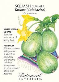 Tatuma Summer Squash Seeds 2 Grams Heirloom You Can Get More Details By Clicking On The Image This Is An Affiliate Li Squash Seeds Heirloom Seeds Squash
