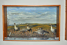Diorama gore sounds, released 24 august 2020 1. Diorama Wikipedia
