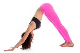 When you ask a question, they really listen. Downward Dog And Your Yoga Journey Working The Resting Pose