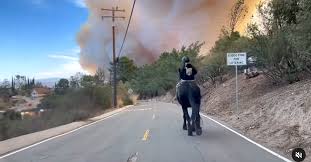 Teen Rides Horse to Safety in LA Fires