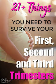 Pin On Pregnancy Tips Guide