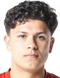 Rafael Jauregui's Instagram, Twitter & Facebook