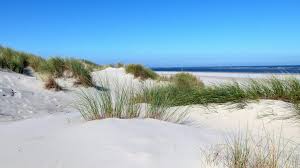 Als unsere gäste können sie ihn selbstverständlich mit nutzen. Fotos Baltrum Duenen Strand Baltrum Jpg