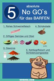 Barfen Fur Anfanger Die Komplette Anleitung Barfen Fur Anfanger Hunde Futter Hundefutter