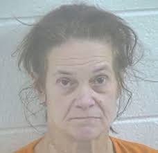 2 charged with drug offenses after traffic stop