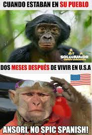 Pin En Memes