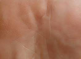 Pin By Jula Hshsbs On Focus Skin Textures Human Skin Texture Skin