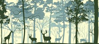 Forest Free Vector Download 750 Free Vector For Commercial Use Format Ai Eps Cdr Svg Vector Illustration Graphic Art Design Forest scenery drawing dark colored design trees icons. forest free vector download 750 free