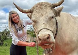 Brenda_lady26 xxx video just as Allison, Audrey is a