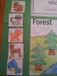 Animal And Habitat Teaching Ideas For Pre K And A Freebie Forest Animals Preschool Forest Preschool Forest Animals Theme