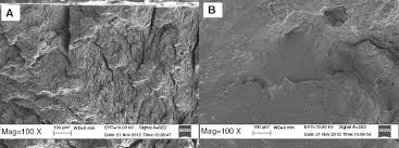 Cbd properties sdn bhd is in the sectors of: Study On The Effect Of Virgin And Recycled Chloroprene Rubber Vcr And Rcr On The Properties Of Natural Rubber Chloroprene Rubber Nr Cr Blends