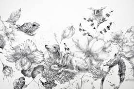 Joo Lee Kang Art Contemporary Art Gallery Drawings