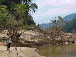 Research has shown that this rainforest has never been influenced by ice ages and other big changes in time. 2 Hari 1 Malam Pakej Santai Fishing Di Taman Negara Pahang Taman Negara Kuala Tahan
