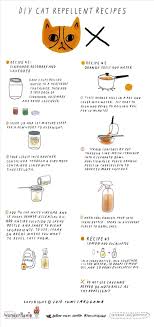 Add one cup of citrus peels. Diy Cat Repellent Spray 3 All Natural Recipes That Are Safe For Indoor Outdoor Cats The Secret Yumiverse Wonderhowto