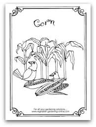 Illustration of beautiful trees color bench coloring page playground vector kids colouring book frames garden zentangle farm line art colour in colouring in garden springtime farm cartoon. Free Vegetable Garden Coloring Books Printable Activity Pages For Kids Gardens Coloring Book Coloring Books Colorful Garden
