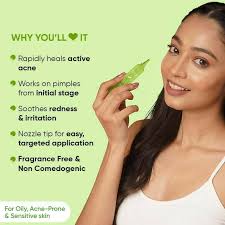 Buy Dot & Key Cica Acne Spot Correction Gel With Green Tea Online at Best  Price