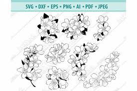 Cherry Blossom Svg Sakura Flowers Svg Spring Dxf Png Eps 419014 Svgs Design Bundles In 2021 Cherry Blossom Sakura Free Printable Clip Art